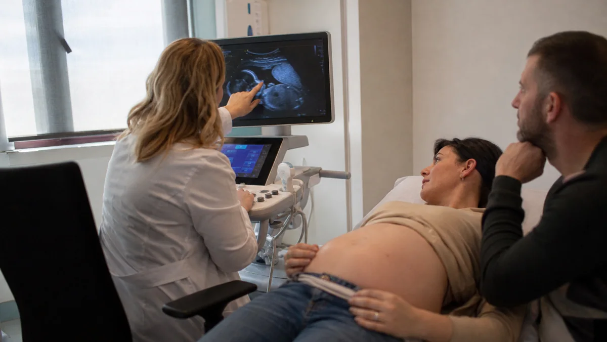 Detaljan ultrazvučni pregled bebe u drugom trimestru